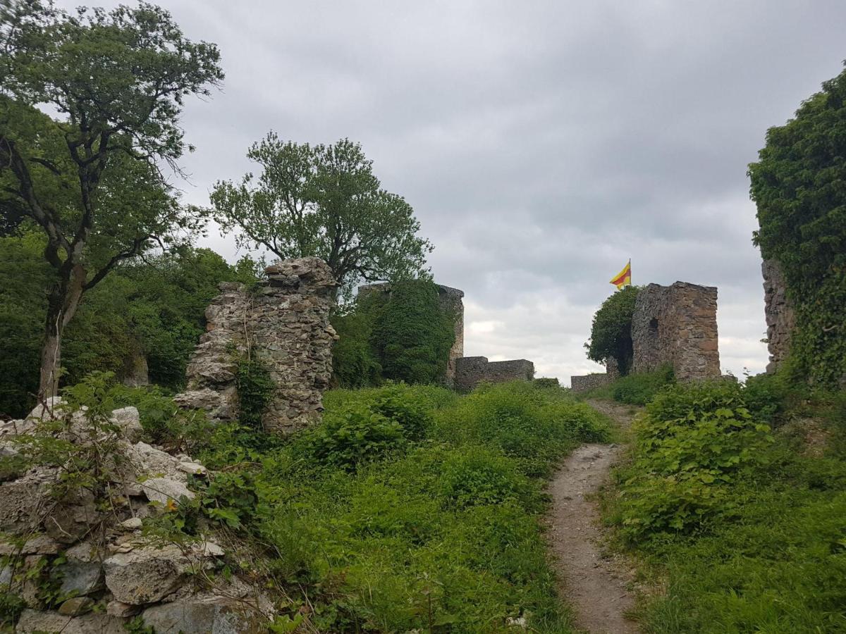 Ferienwohnung Hegau- Bodensee Og Muhlhausen-Ehingen Buitenkant foto